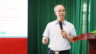 Bac Ninh: Applicazione della tecnologia per la diagnosi di malattie emergenti e riemergenti del bestiame.
