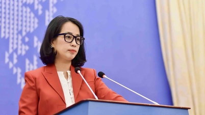 Il Vietnam si oppone all'avvio di un'indagine statunitense sulla proprietà intellettuale.