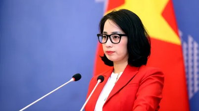 वियतनाम ने बौद्धिक संपदा के मामले में अमेरिका द्वारा जांच शुरू करने के खिलाफ आवाज उठाई है।