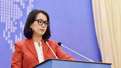 Vietnam blijft nauw overleg voeren met de Verenigde Staten over kwesties met betrekking tot intellectueel eigendom.