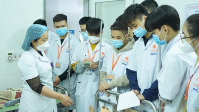 2026년 7월 1일부터 수업료 지원 및 장학금 혜택이 의료 관련 분야까지 확대될 예정입니다.