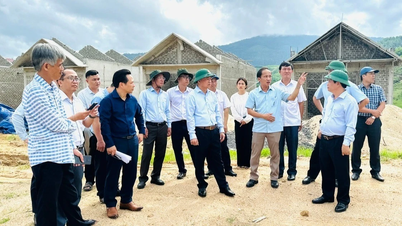 Membangunkan projek penempatan semula berdasarkan model kawasan perumahan contoh.