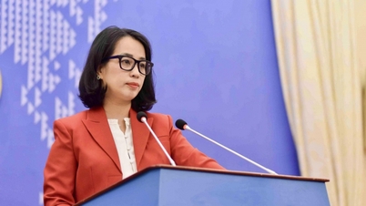 Vietnam, Amerika Birleşik Devletleri'nden fikri mülkiyet haklarının uygulanması konusundaki çabalarını ve başarılarını objektif ve adil bir şekilde değerlendirmesini ve tam olarak tanımasını talep etmektedir.