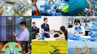 Belangrijkste richtlijnen en acties van de regering en de premier gedurende de week van 23-29 mei 2026.