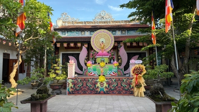ទស្សនាវត្តអារាមនានានៅទីក្រុង Hue
