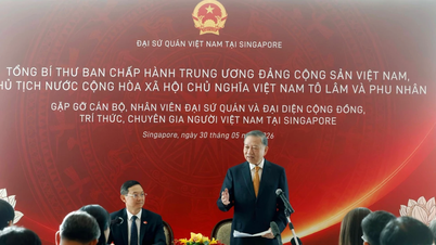 La communauté vietnamienne de Singapour continue de s'unir, de prospérer et de maintenir un lien avec sa patrie.