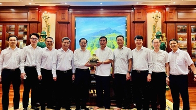 Vinachem y Hateco cooperan para suministrar productos técnicos de caucho al puerto de Lien Chieu.