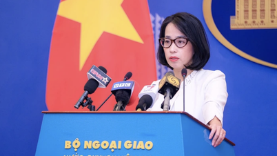 Vietnam siap berkonsultasi dan berbagi informasi dengan AS mengenai investigasi kekayaan intelektual.