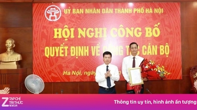 Hanoi presenta a los candidatos para la elección parcial de miembros del Comité Popular de la Ciudad.
