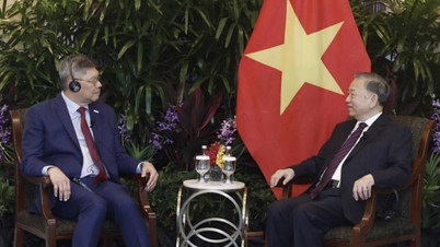 Generalsekretär und Präsident To Lam empfängt führende Vertreter bedeutender singapurischer Wirtschaftsverbände.