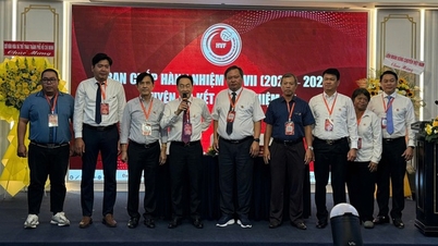 Ho Chi Minh Citys volleybollag brottas med målet om en comeback.