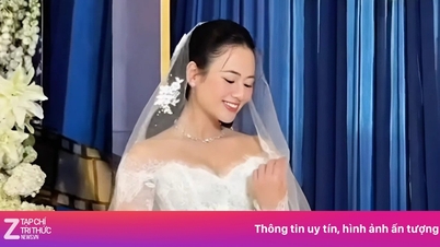 Hochzeit einer vietnamesisch-chinesischen Schauspielerin