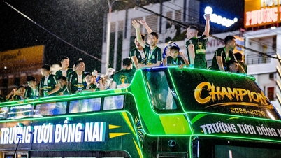 Klub Truong Tuoi Dong Nai vyhrává mistrovství první divize.
