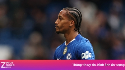 Chelsea hat die Hoffnungen derjenigen zunichtegemacht, die Joao Pedro verpflichten wollten.