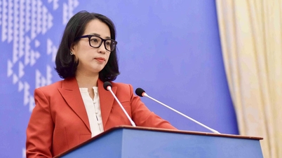 Vietnam menanggapi pengumuman AS tentang dimulainya penyelidikan berdasarkan Pasal 301 Undang-Undang Perdagangan.