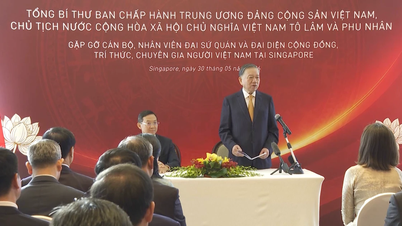 [Video] Generalsekretär und Präsident To Lam: Wir werden die Politik für im Ausland lebende Vietnamesen weiter verbessern.