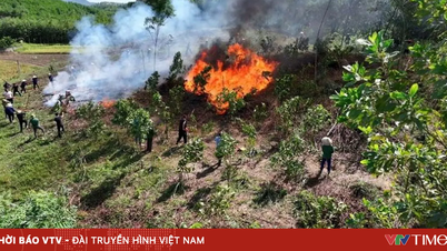 長期間にわたる高温乾燥により、全国で1,500以上の地域が深刻な山火事の危険にさらされている。