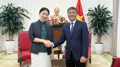O Vice-Ministro Permanente Nguyen Minh Vu recebe o Vice-Presidente da Região Autônoma de Guangxi Zhuang, China.