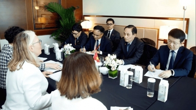 Politbyråmedlem og utenriksminister Le Hoai Trung mottar den australske viseutenriks- og handelsministeren.