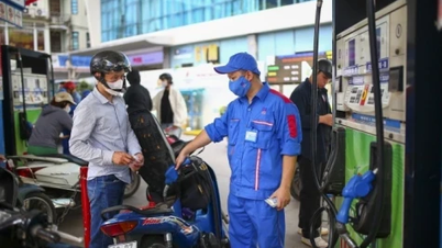 Para produsen diwajibkan untuk menerbitkan daftar kendaraan yang kompatibel dengan bensin E10.