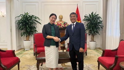 Vietnam y Guangxi refuerzan su cooperación sustantiva en diversos ámbitos.