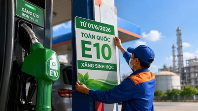 E10ガソリンの使用 ― 環境保護と持続可能な開発の促進のために協力する。