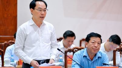 Terdapat banyak arah strategis untuk pengembangan Dong Thap.