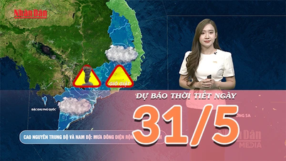 [Video] Previsioni meteo per il 31 maggio 2026: ritorno del caldo nel Vietnam settentrionale e centrale, aumento delle precipitazioni nel Vietnam meridionale.