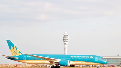 Encontrar soluciones para promover el turismo aprovechando las ventajas del aeropuerto de Long Thanh.