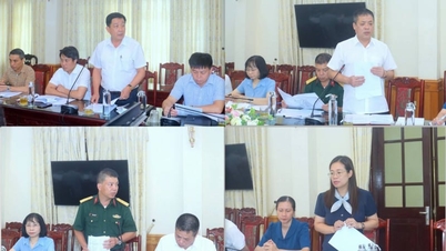 Com relação à reorganização de vilas e áreas residenciais na recém-criada província de Ninh Binh (antigamente Nam Dinh), o distrito de Nam Dinh realizou esta importante reunião.