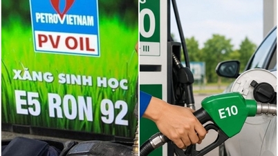Яка різниця між бензином E5 та E10?