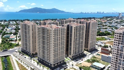5월 31일 아침 뉴스: 하노이에서 공공주택이 필요한 사람들에게 좋은 소식입니다. 한 젊은이가 휴대전화로 천둥번개를 촬영하던 중 벼락에 맞아 사망했습니다.