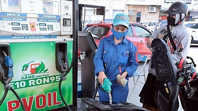 Sẵn sàng chuyển sang nhiên liệu xanh với xăng E10