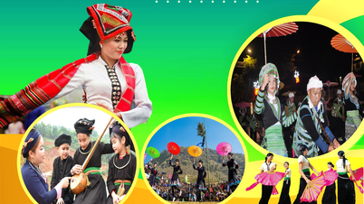Expedite the implementation of policies supporting core cultural, artistic, and sports clubs at the grassroots level.