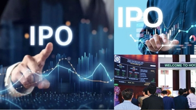 "Svelare" le restrizioni legali: innescare un'ondata di offerte pubbliche iniziali (IPO) da 40 miliardi di dollari.