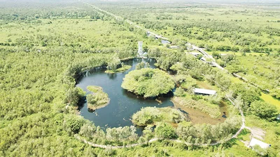 The vitality of U Minh Thuong forest