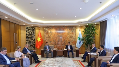 Kerjasama Petrovietnam - Novatek: Ke Arah Perkongsian Substantif dan Jangka Panjang, Meningkatkan Hubungan Vietnam-Rusia