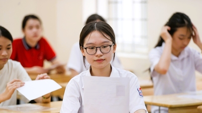 Oltre 5.100 candidati si contenderanno 630 posti per il decimo anno presso la scuola superiore specializzata in lingue straniere nel 2026.