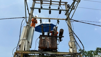 Garantizar un suministro eléctrico ininterrumpido durante la temporada de calor.
