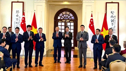 TP.HCM thêm khu công nghiệp VSIP 4 quy mô 750 héc ta