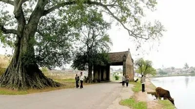 Về Đường Lâm, thưởng thức quà quê