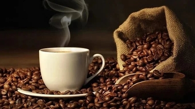 Prezzi del caffè oggi, 31 maggio 2026: Forte calo nell'ultima settimana.