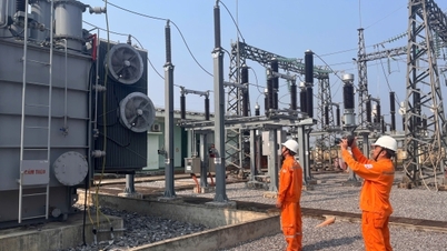 Điện lực Quảng Trị đồng hành tháo gỡ vướng mắc cấp điện cho khu vực Phong Nha - Kẻ Bàng