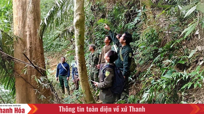 La commune frontalière de Trung Lý préserve sa forêt pendant la saison chaude.