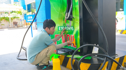 Biocarburante E10: pronto per una transizione a livello nazionale.