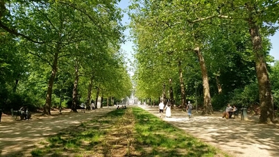 البلجيكيون يواجهون موجة حر غير مسبوقة حطمت الأرقام القياسية.