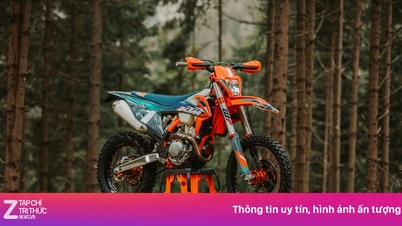 شركة KTM متورطة في فضيحة تزوير تسجيل المركبات.