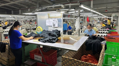 Perolehan eksport Hai Phong telah mencapai sasaran pertumbuhan.
