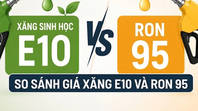 Comparing the prices of E10 and RON 95 gasoline.
