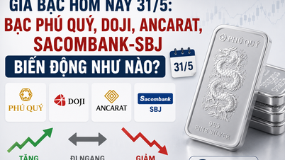 ราคาสินแร่เงินวันนี้ 31 พฤษภาคม: ราคาสินแร่เงินจากแหล่งต่างๆ เช่น ฟู้กวี โดจี อันคารัต และซาคอมแบงก์-เอสบีเจ ผันผวนอย่างไรบ้าง?